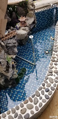 陽(yáng)臺(tái)也搞一個(gè)池子