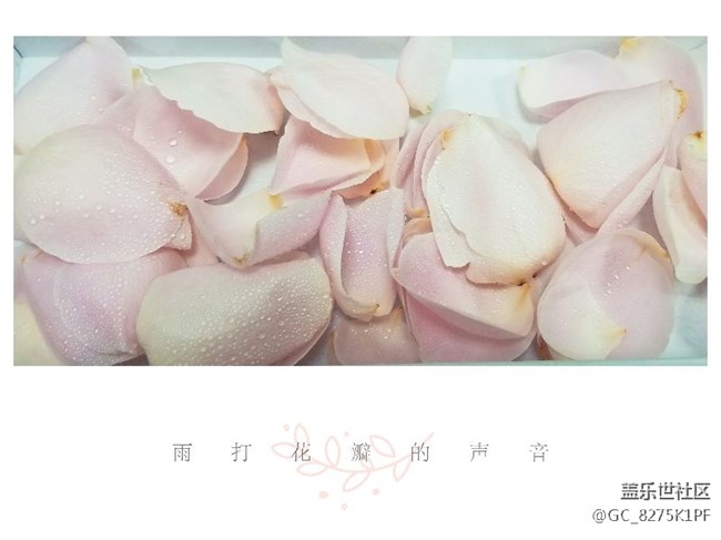 大愛三星的相機(jī)