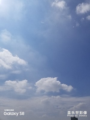 野釣，隨手拍！