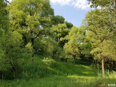 【回憶】+山水風(fēng)光