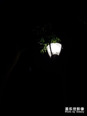 【回憶】+西安之行