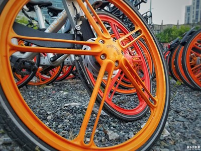 它們的未來(lái)？