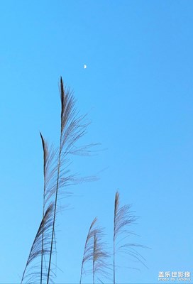 一處光陰，一種生活