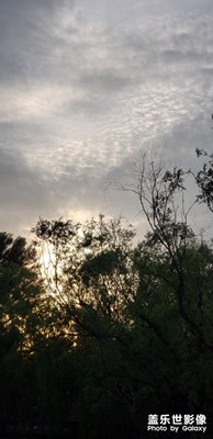 風(fēng)景