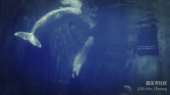 ■休假青島，C9隨拍作業(yè)