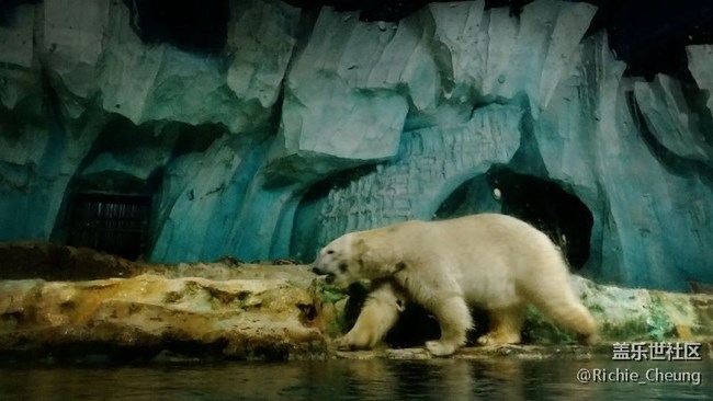 ■休假青島，C9隨拍作業(yè)