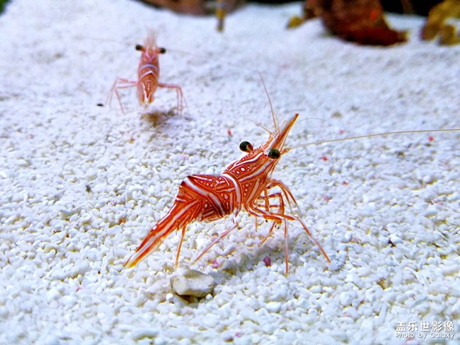 【104期：炎熱夏季 你有什么特別的去暑方式嗎？】