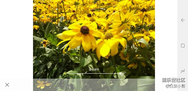 Screenshot_20180629-171825_Live focus.jpg 必須給大家安利一下 A9 Star的實(shí)時(shí)虛化功能