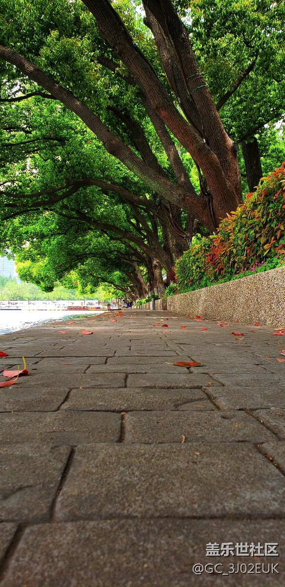 這些都是無聊S9+拍的