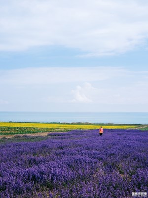 [中國(guó)最美瞬間]+環(huán)青海湖篇（精選）
