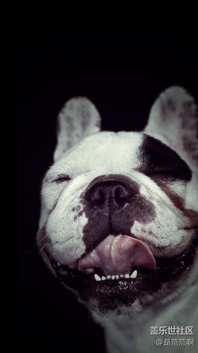 存在于手機(jī)和現(xiàn)實(shí)中的人類的好朋友 存在于手機(jī)和現(xiàn)實(shí)中的人類的好朋友