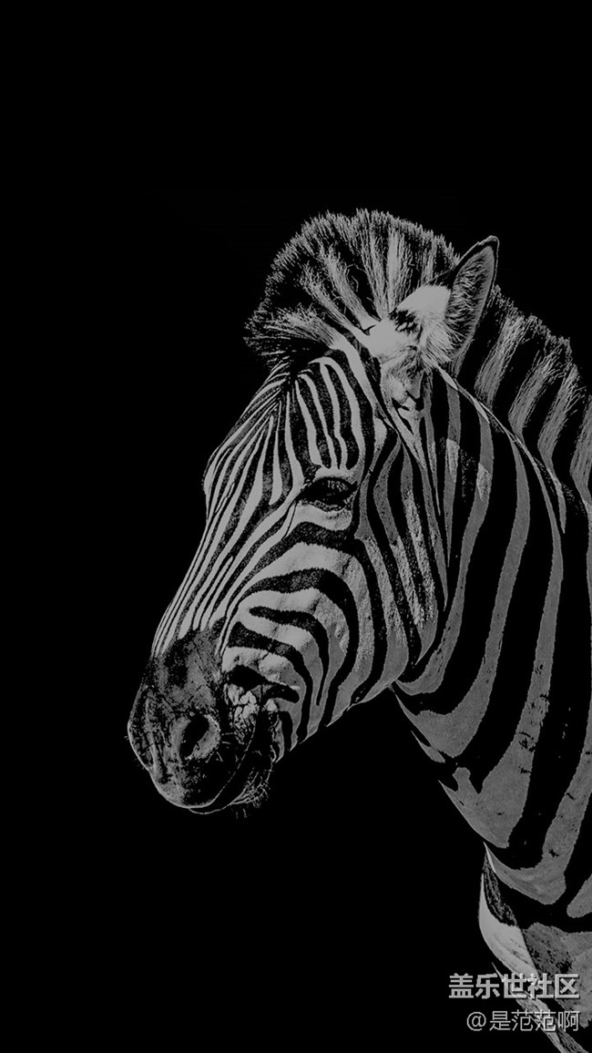 存在于手機(jī)和現(xiàn)實(shí)中的人類的好朋友 存在于手機(jī)和現(xiàn)實(shí)中的人類的好朋友