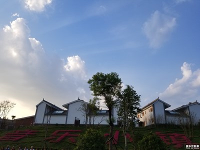 【行走，發(fā)現(xiàn)】哪些花兒