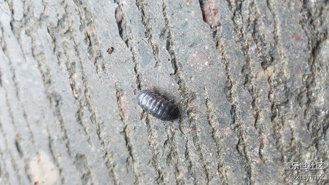 s7e升8.0相機沒變差吧