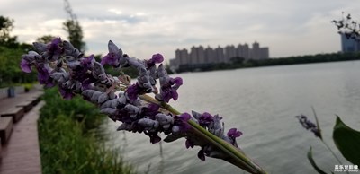 最美的時(shí)光