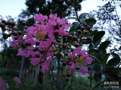 小8的單攝人像虛化