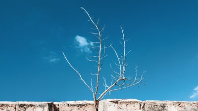 【Photo by Galaxy】初嘗試 RAW ， 手機(jī)大片我做主