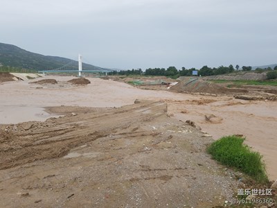 今年的雨有點大