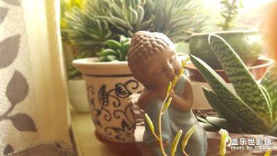 為啥感覺沒有美感呢