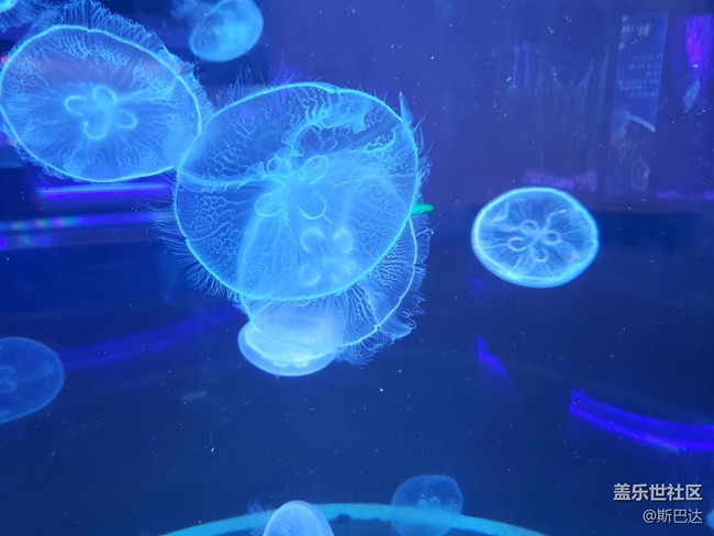 蓋樂世社區(qū)三歲啦！