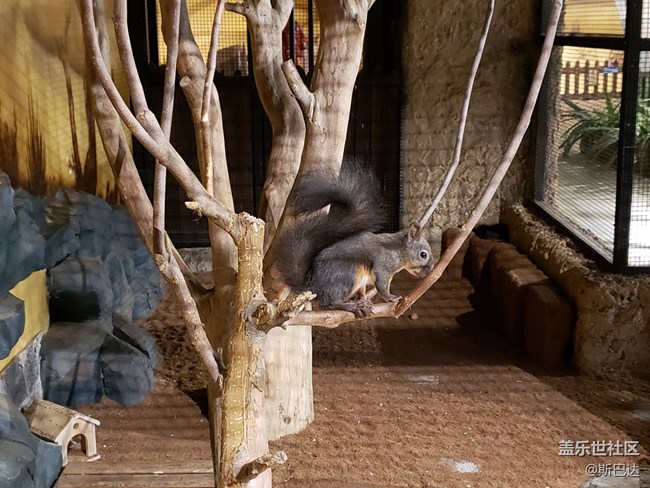 蓋樂世社區(qū)三歲啦！