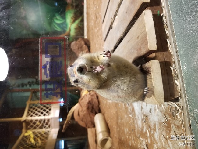 蓋樂世社區(qū)三歲啦！