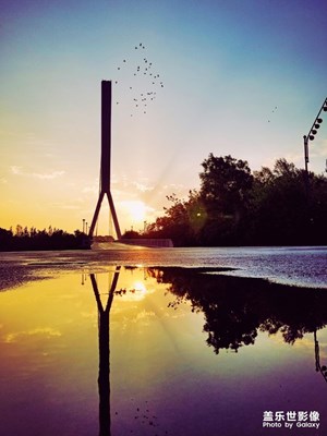 【S8+】——晨光美