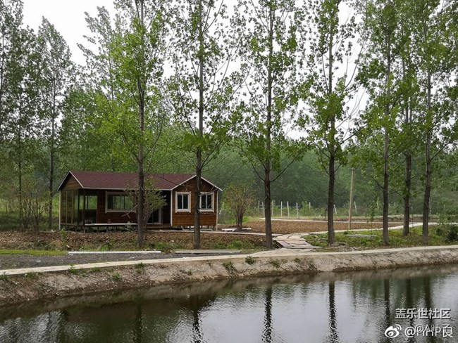 #社區(qū)三周年#合肥星部落邀您同行生態(tài)園