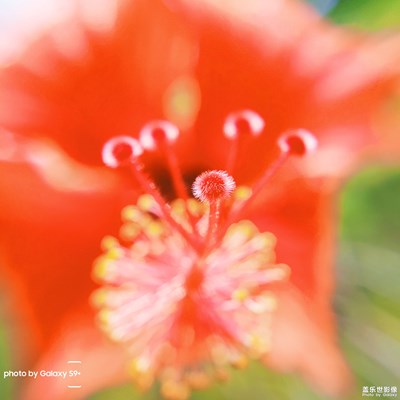 廣州一角。。。。