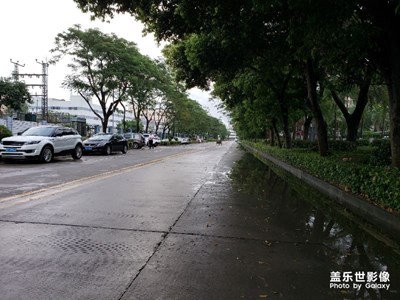 白與黑的鍛煉狀態(tài)