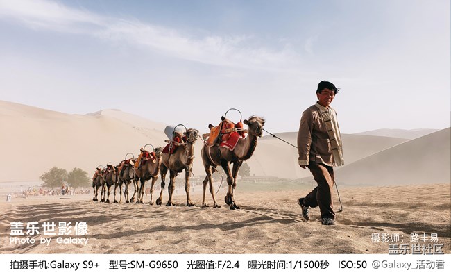 蓋樂世影像|960萬平方公里，記錄一場永不落幕的至美傳奇