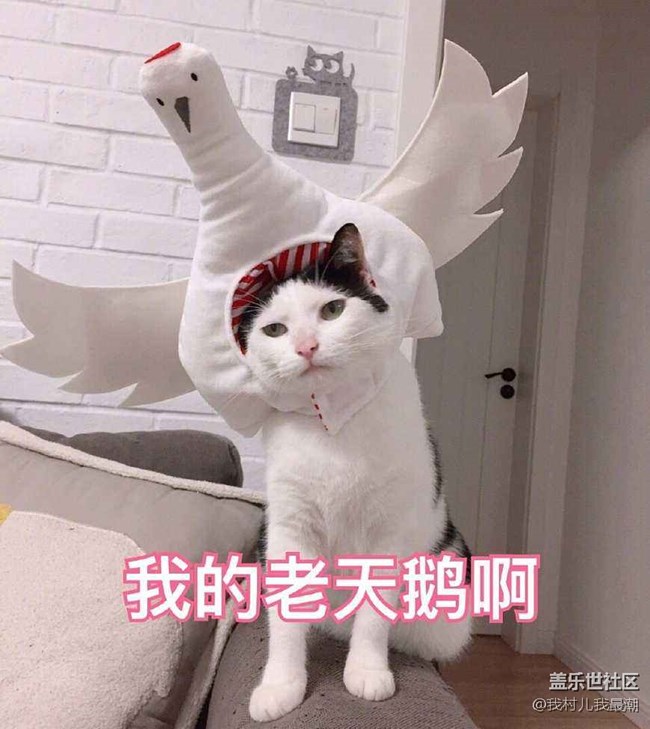 老天鵝！ 驚喜從她的回眸一笑開始 好比R15轉(zhuǎn)身那時(shí)