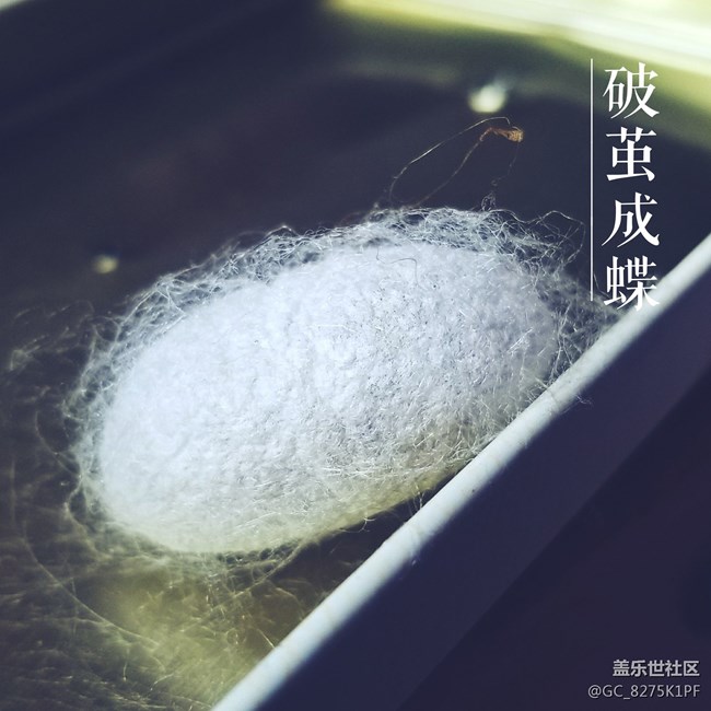 忙碌的時(shí)候更喜歡你來(lái)幫我記錄生活