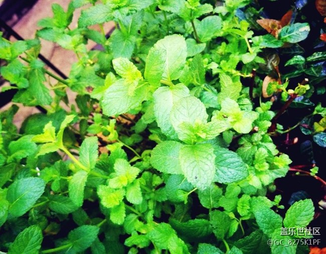 忙碌的時(shí)候更喜歡你來(lái)幫我記錄生活