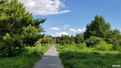 聽說藍(lán)天與白云最配