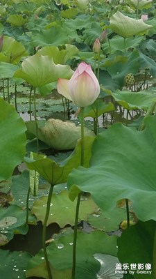 影像版塊的評判標(biāo)準(zhǔn)是怎樣的？