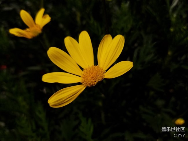 S7的系統(tǒng)更新歷程