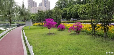 【“醉美”公園】+成都郫都區(qū) 創(chuàng)智公園