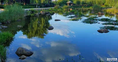 【“醉美”公園】+馬龍水景公園