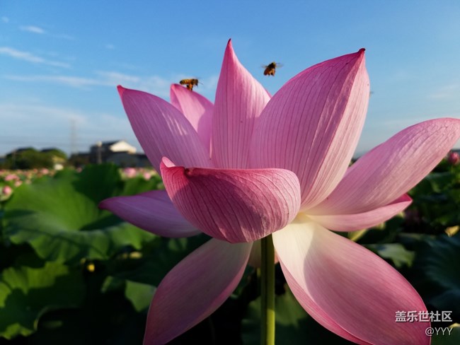 S7的系統(tǒng)更新歷程