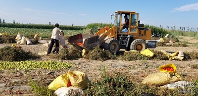 農(nóng)村的落日余暉