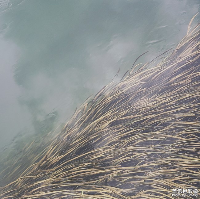 【第109期：立秋貼秋膘啦 你家里在這天有什么習(xí)俗呢？】