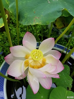 魂?duì)繅衾@，煙雨江南。