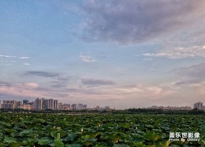 去“琴臺大劇院”聽音樂會隨拍