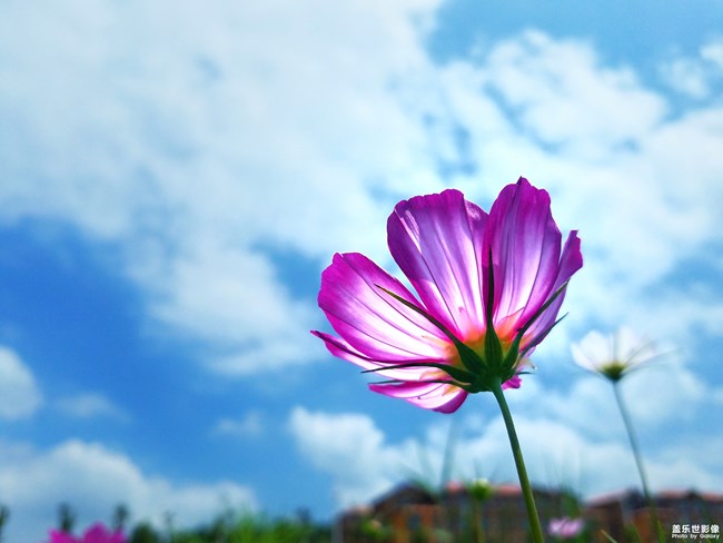 【第110期：全新三星Galaxy Note9 正式發(fā)布】