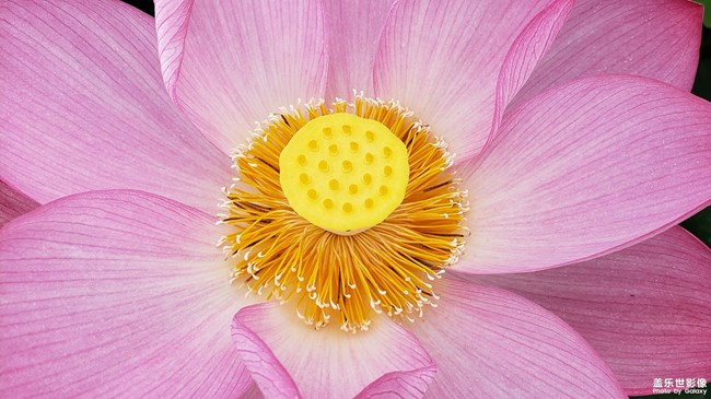 【第110期：全新三星Galaxy Note9 正式發(fā)布】