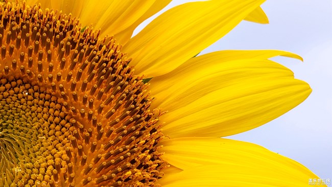 【第110期：全新三星Galaxy Note9 正式發(fā)布】