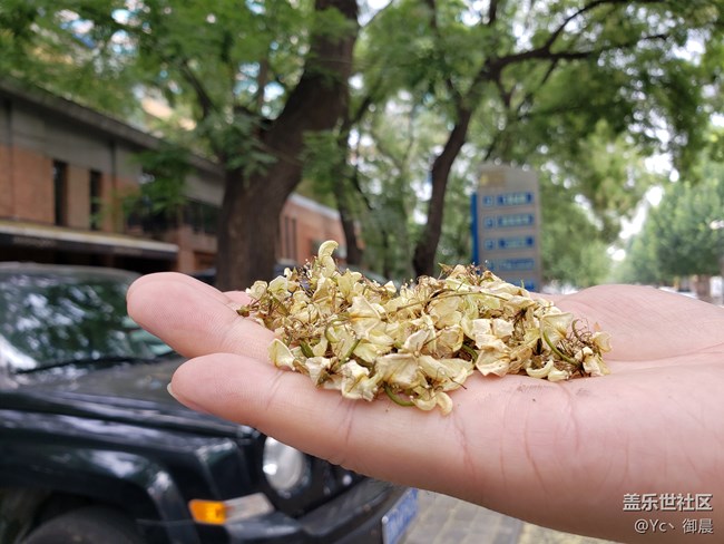 【三星Galaxy Note9首發(fā)評測】低調(diào)美男子，內(nèi)在大提升！