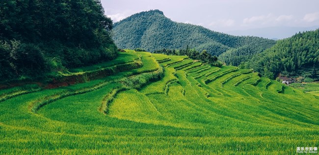 【第111期：七夕節(jié)你們都是怎么度過的呢？】