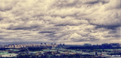 心之若水 觀風起運落